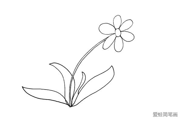太阳花简笔画