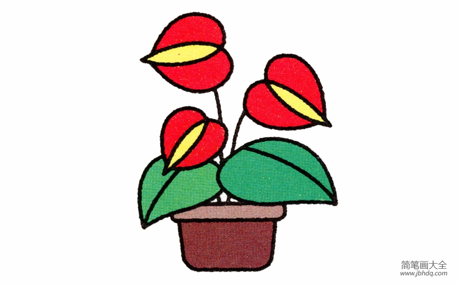 马蹄兰简笔画画法