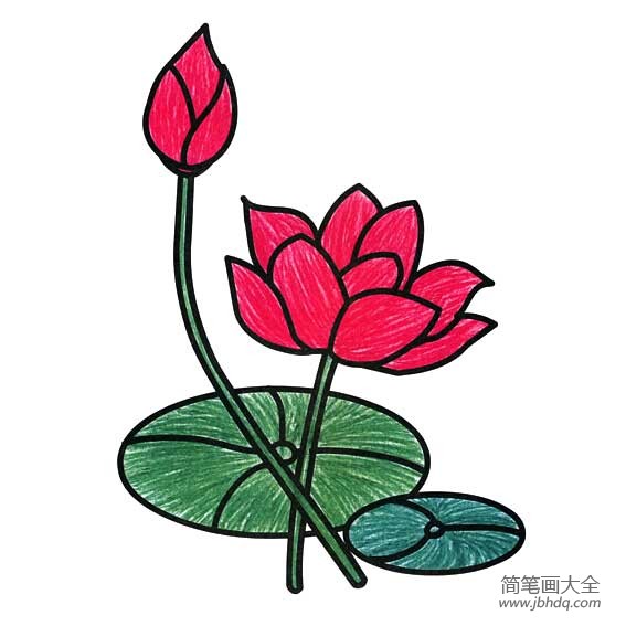 儿童简笔画荷花 素描简笔画大全