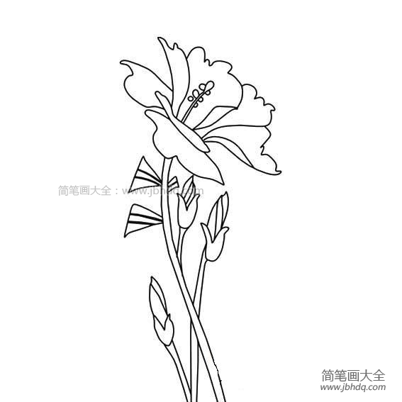 花卉简笔画图片