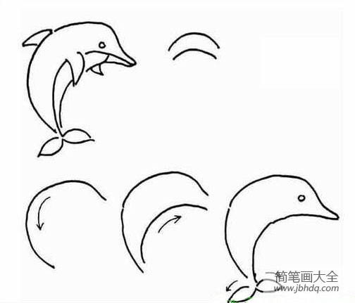 儿童简笔画教程 海豚