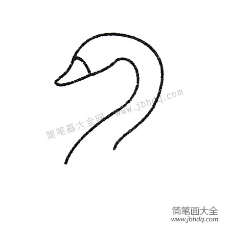 1.先画头部和脖子。