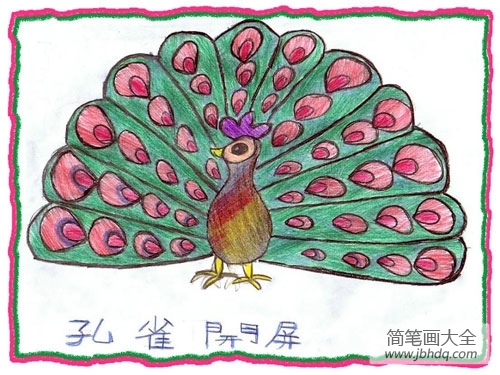 孔雀开屏画