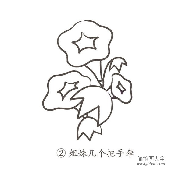 幼儿简笔画 牵牛花