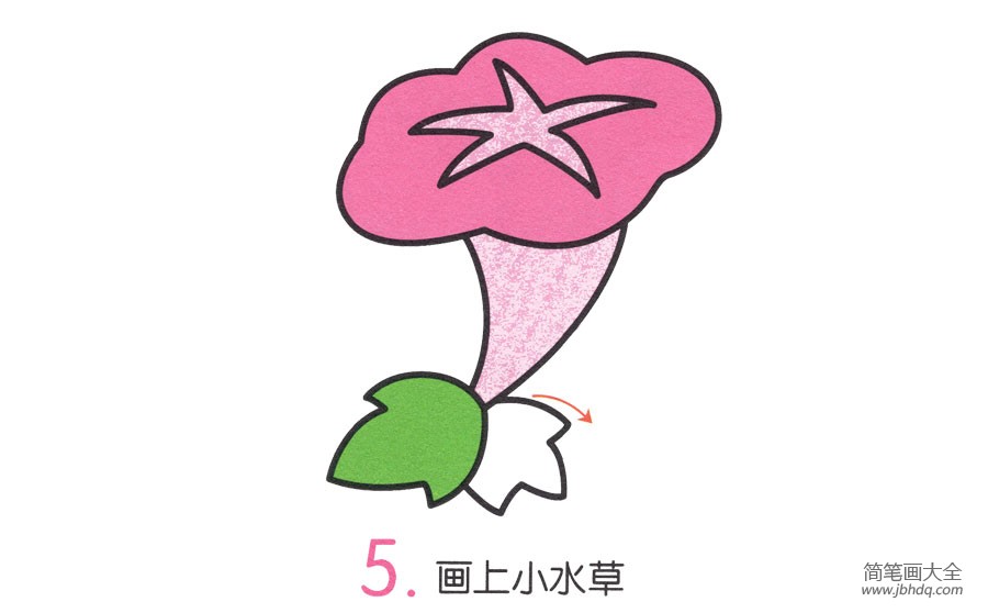 一步一步学画牵牛花