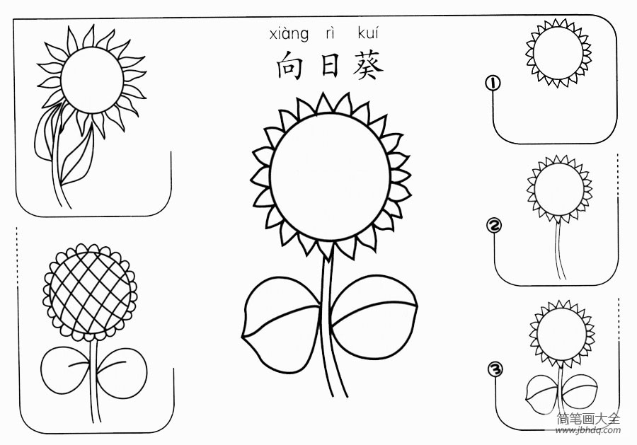 向日葵怎么画