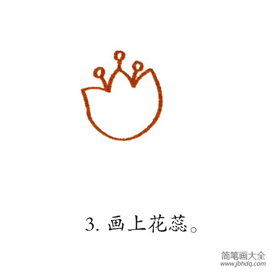 幼儿简笔画 漂亮的郁金香