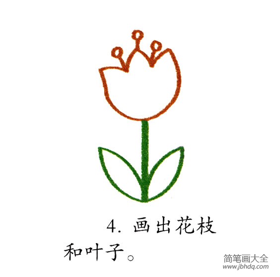 幼儿简笔画 漂亮的郁金香
