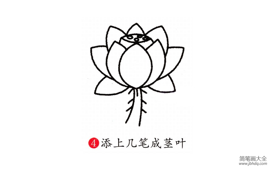 荷花简单的画法