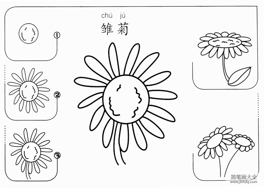 雏菊怎么画