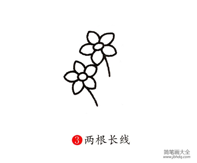 幼儿水仙花的画法