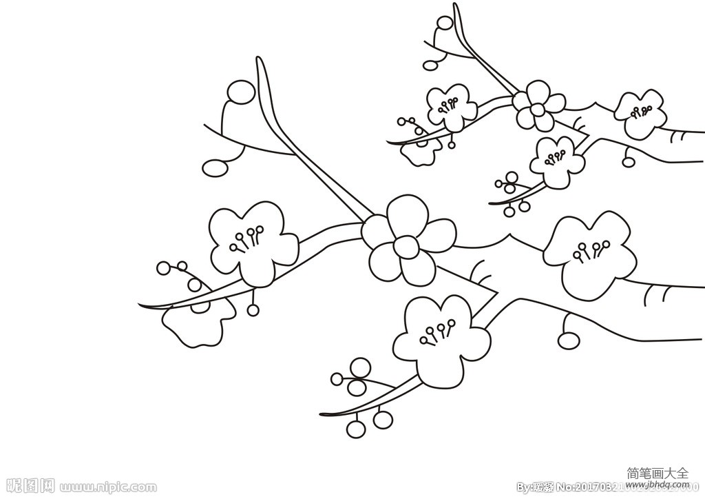 春天的梅花简笔画图片