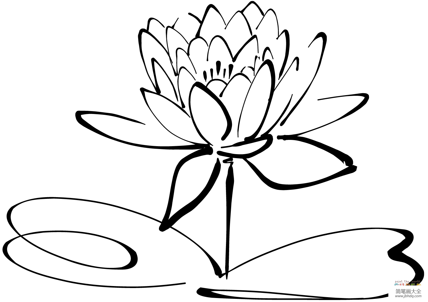 学画荷花