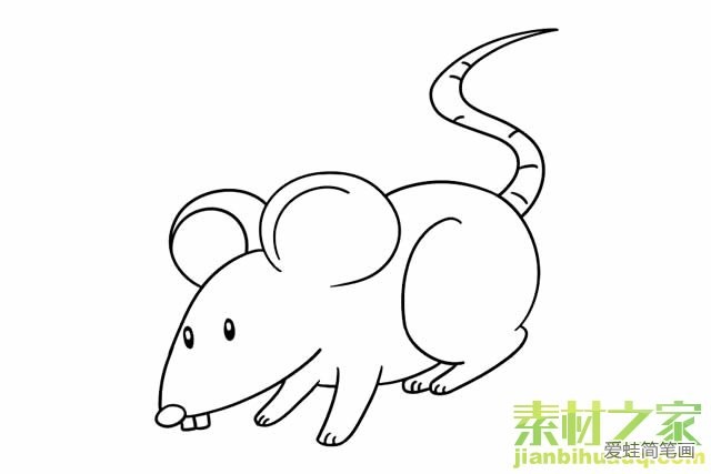 老鼠简笔画