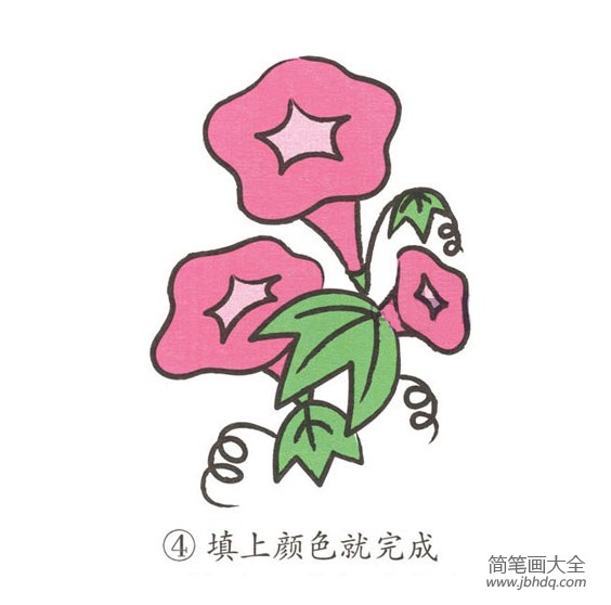幼儿简笔画 牵牛花