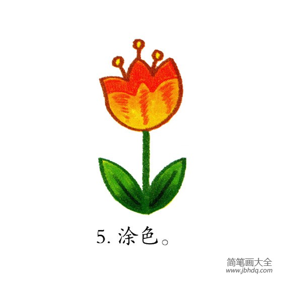 幼儿简笔画 漂亮的郁金香