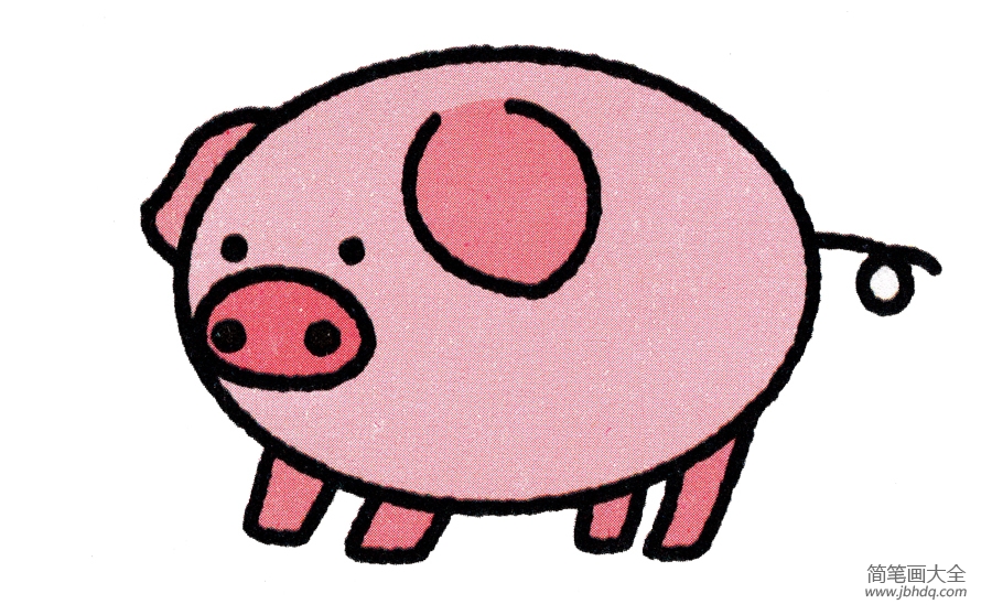猪的简笔画画法