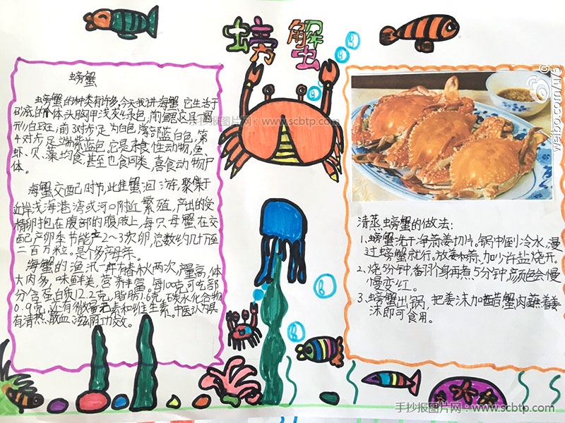 海鲜食品螃蟹为主题的手抄报
