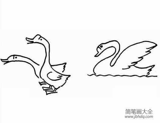 大白鹅简笔画大全