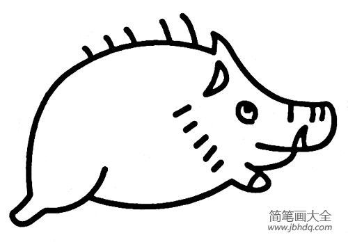 儿童动物简笔画野猪的画法