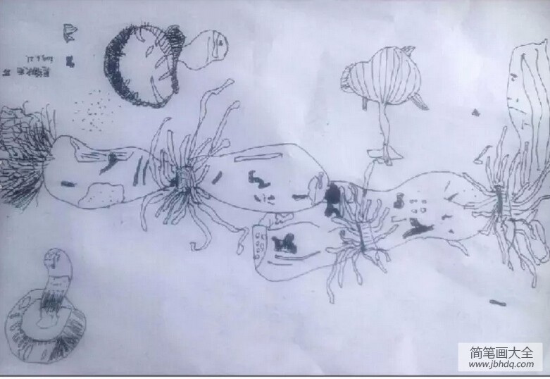 蔬菜大聚会,秋天的蔬菜园儿童画欣赏