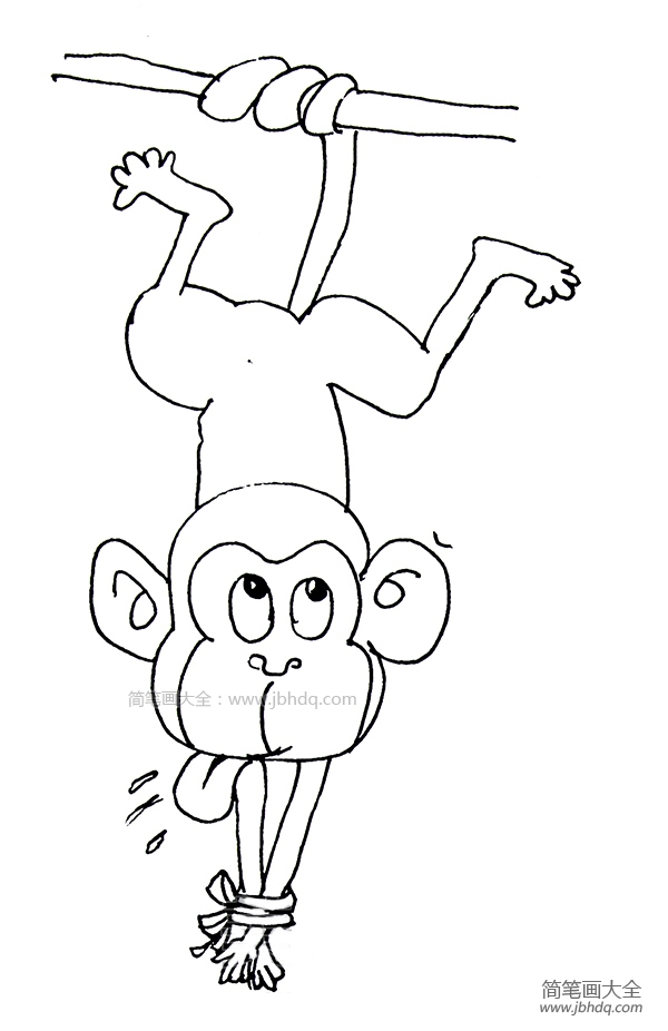 被捆住的猴子简笔画