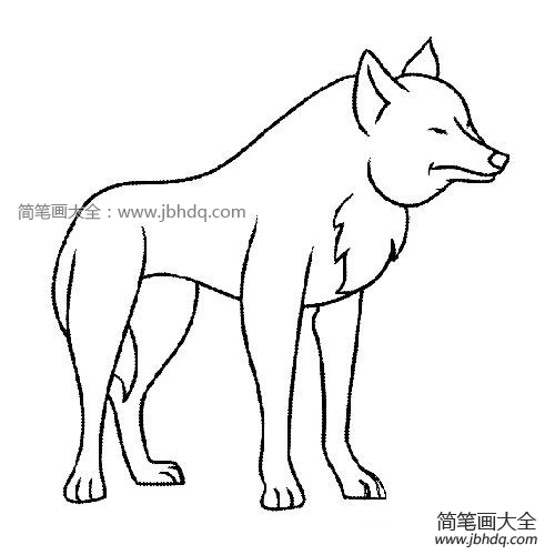 可爱的小狼简笔画图片