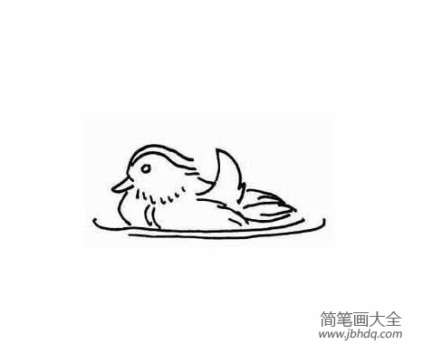鸳鸯简笔画大全