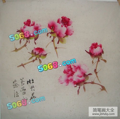 牡丹花蕾的画法