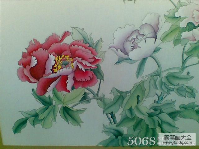 牡丹花开工笔花鸟画精品欣赏