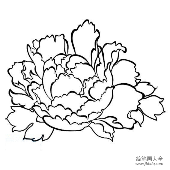 儿童花朵简笔画 牡丹花