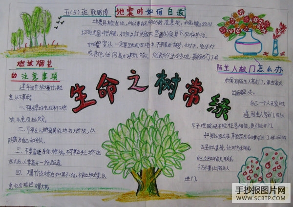 注意安全,让生命之树常绿的手抄报