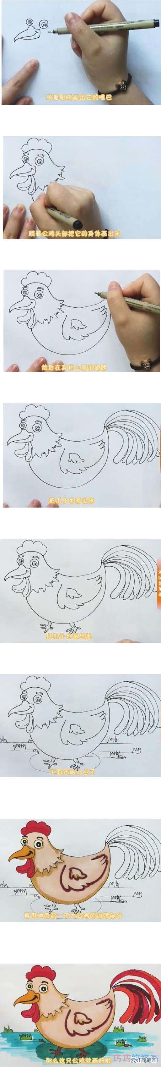 教你一步一步绘画公鸡简笔画