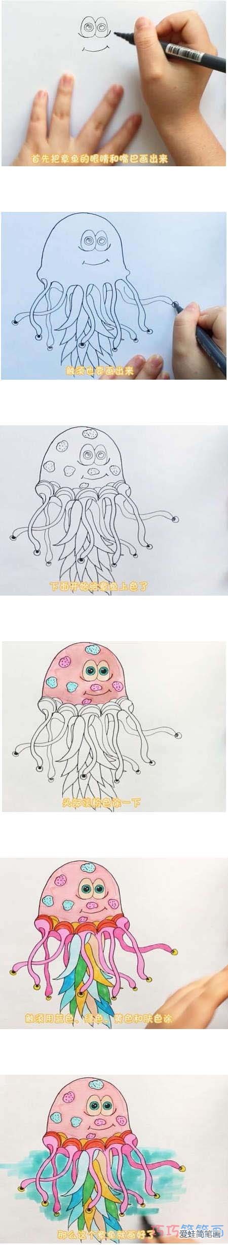 教你一步一步绘画彩色章鱼简笔画