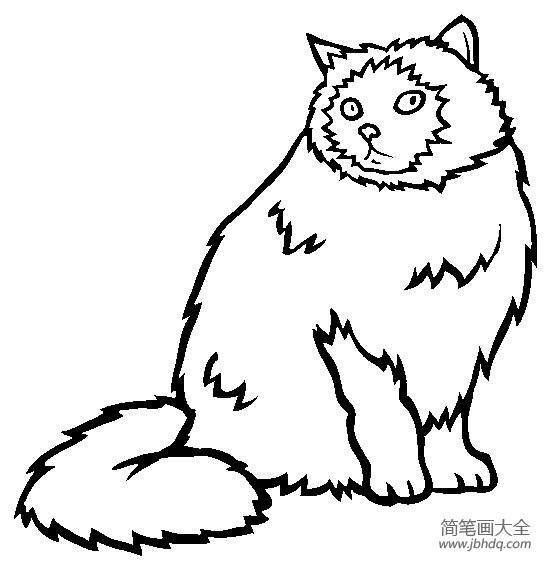猫咪图片 喜马拉雅猫简笔画
