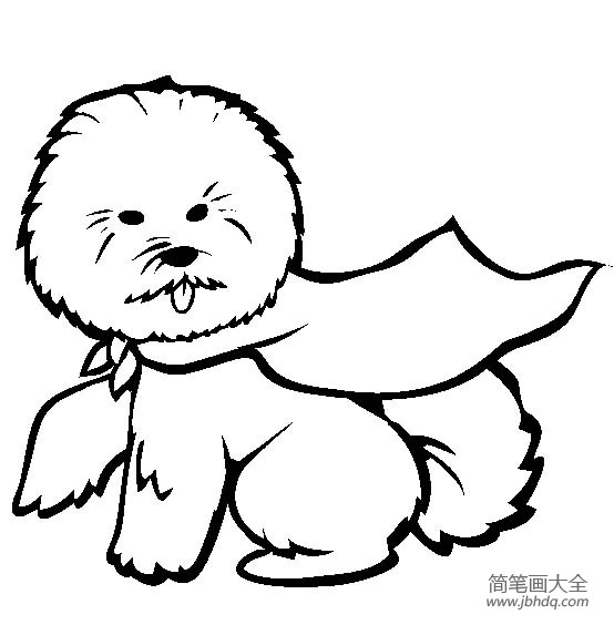 小狗图片大全 卷毛比雄犬简笔画