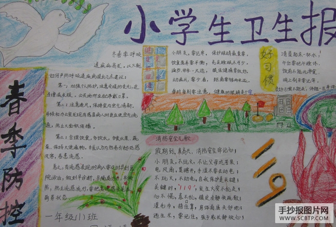 卫生健康,很重要的手抄报