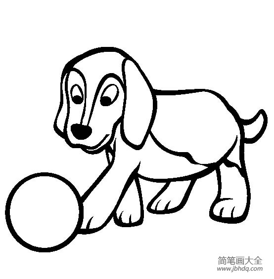 小狗图片大全 比格犬简笔画