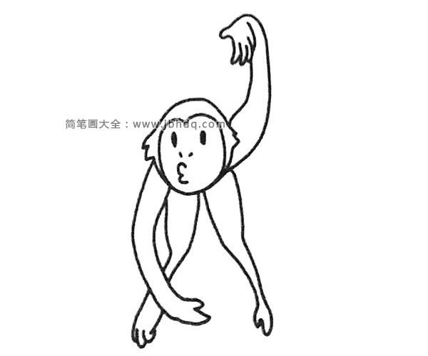 长臂猿简笔画图片5