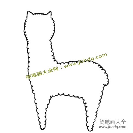 2.用波浪线描出羊驼的外部轮廓。