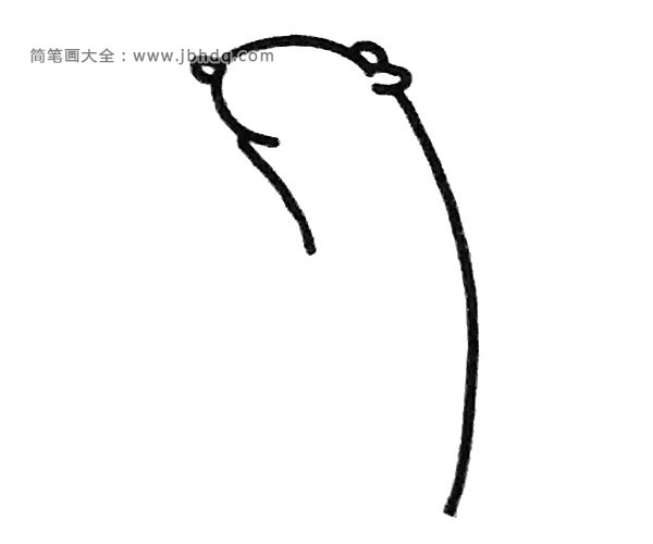 黄鼠狼简笔画步骤2