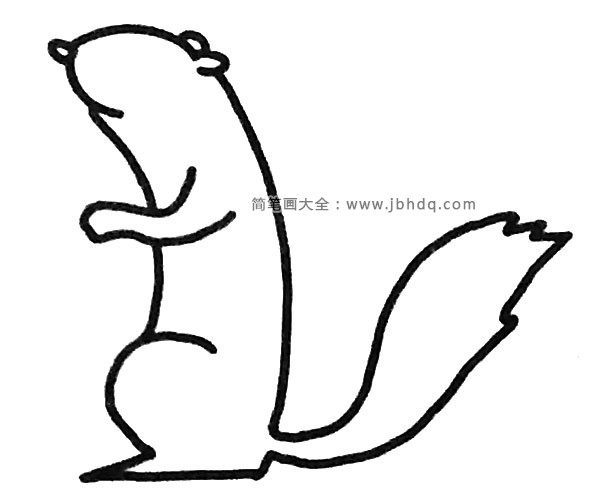 黄鼠狼简笔画步骤3