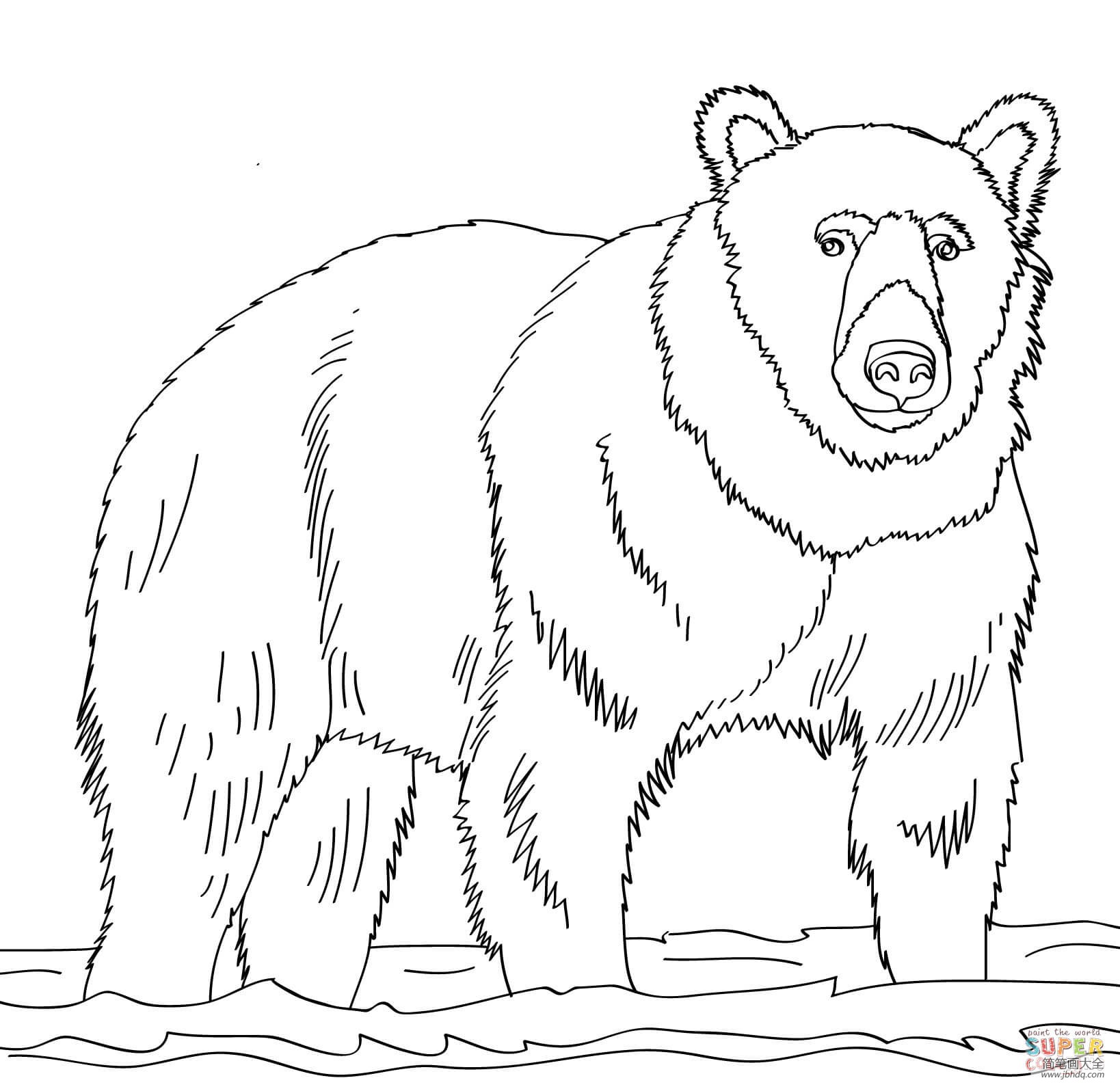 怎么画熊