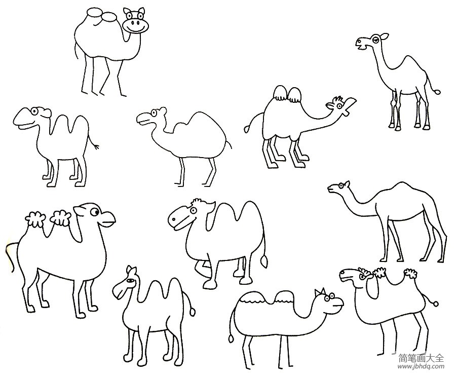 骆驼简笔画大全及画法步骤