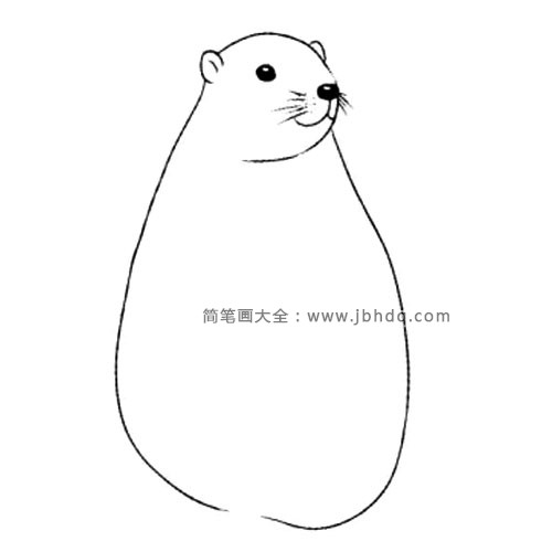3.画出胖胖的身体。