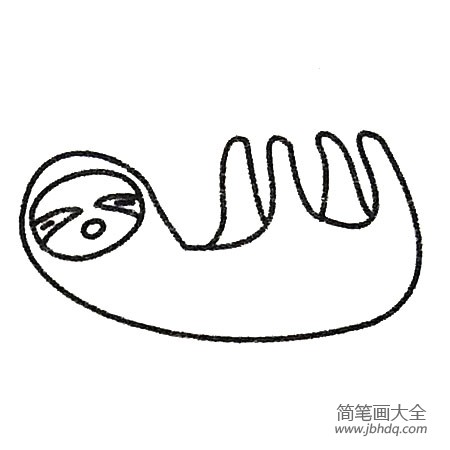 树懒简笔画大全及画法步骤