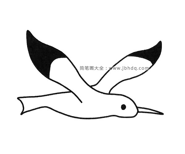 海鸥简笔画图片3