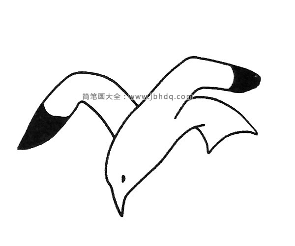 海鸥简笔画图片2