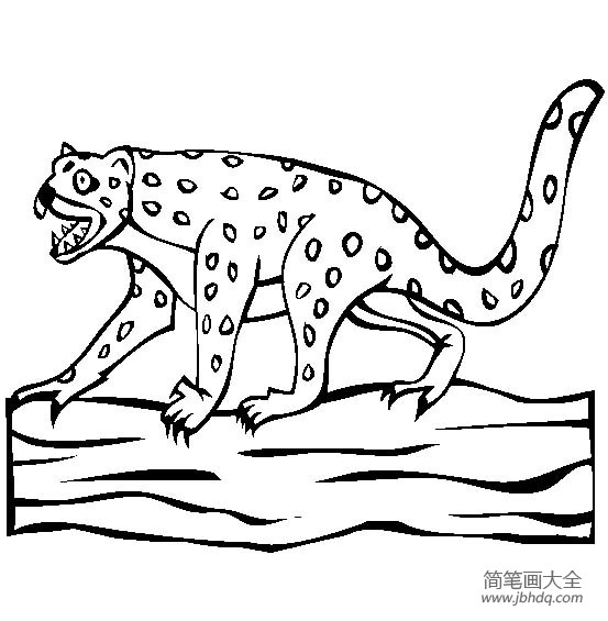 史前动物 袋狮简笔画图片