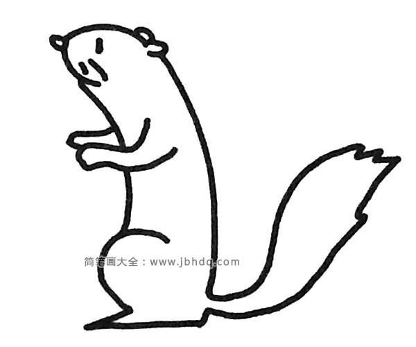 黄鼠狼简笔画步骤4